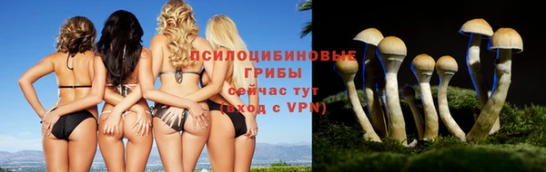 a pvp Алексеевка