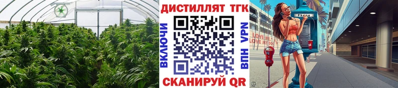 ТГК концентрат  Армянск 