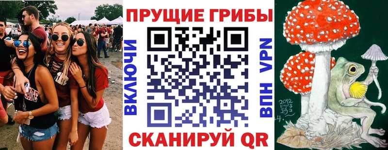цена   Армянск  Галлюциногенные грибы MAGIC MUSHROOMS 